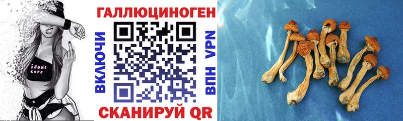 наркошоп  Зверево  Псилоцибиновые грибы Cubensis 
